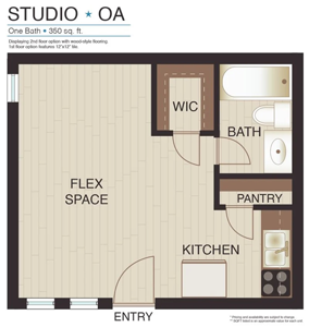 Studio Plan (OA - OC) - 350 Sq. Ft.*